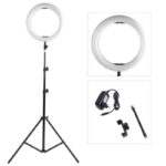 14" Ring light With 7 Feet stand